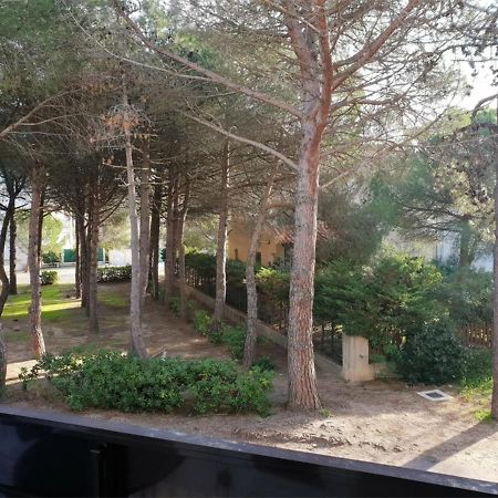 Appartement T2 A 50M De La Plage Avec Balcon Et Parking - Argeles-Sur-Mer - Fr-1-388-43 Argelès-sur-Mer Exterior foto